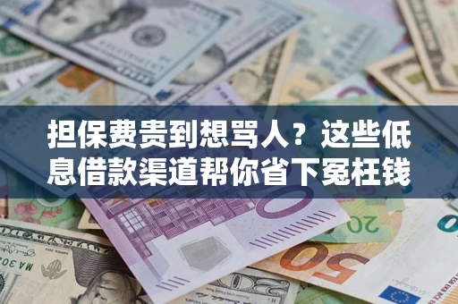 北京担保费贵到想骂人？这些低息借款渠道帮你省下冤枉钱