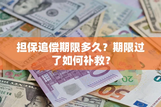 北京担保追偿期限多久？期限过了如何补救？