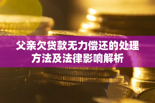 北京父亲欠贷款无力偿还的处理方法及法律影响解析